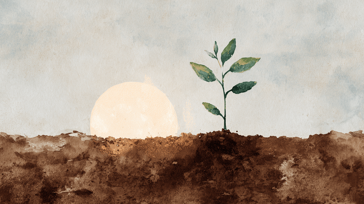 A small sapling growing