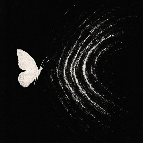 A white butterfly with waves rippling away from it